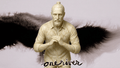 003 Neutralizing Body Method